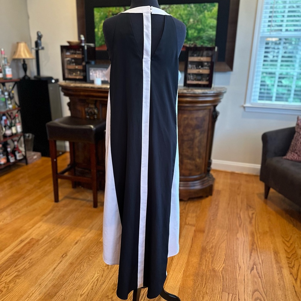 Project RUNWAY B/W Dress - Picture 4 of 6